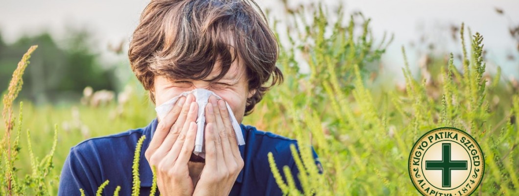 Dübörög a parlagfűszezon – így védekezzen az allergia ellen.
